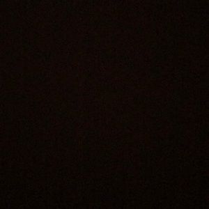 Meet your Posher, Tiesha